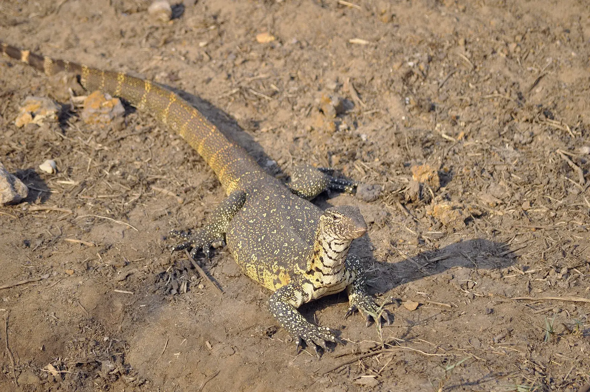 iSimangaliso Wetland Park & St Lucia Estuary