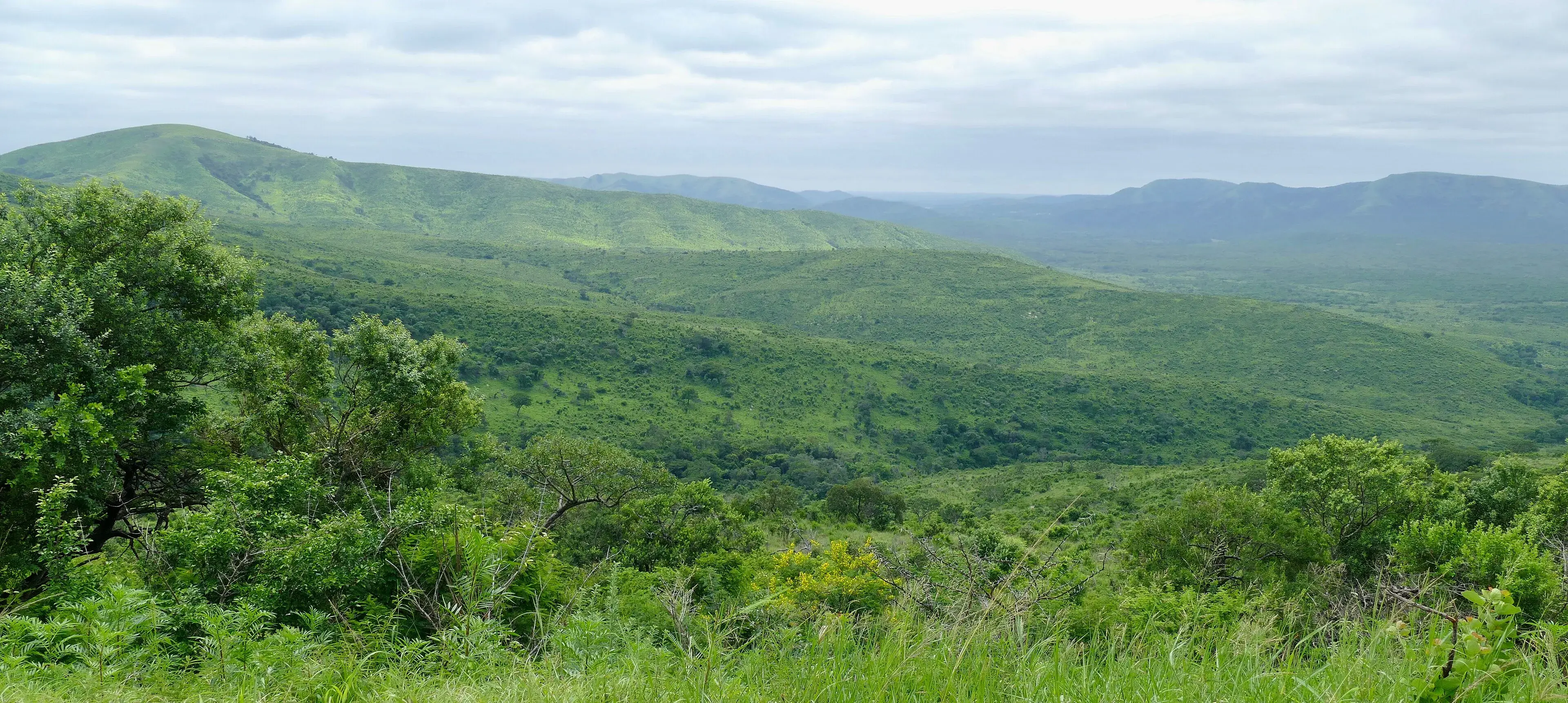 Hluhluwe–iMfolozi Park
